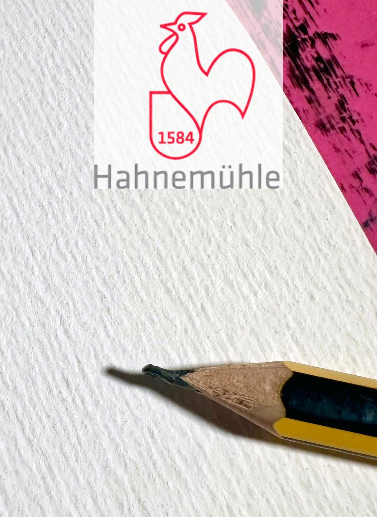Kunstdruck: „Frau mit Vogel“, Endformat 29,7 x 42,0 cm, limitiert, nummeriert und signiert.