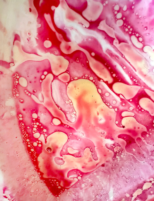 Makrofotografie – „Beta Vulgaris Psychedelia“, gerahmt, 79,7 x 97,7 cm, lim. Edition (10 Ex.)