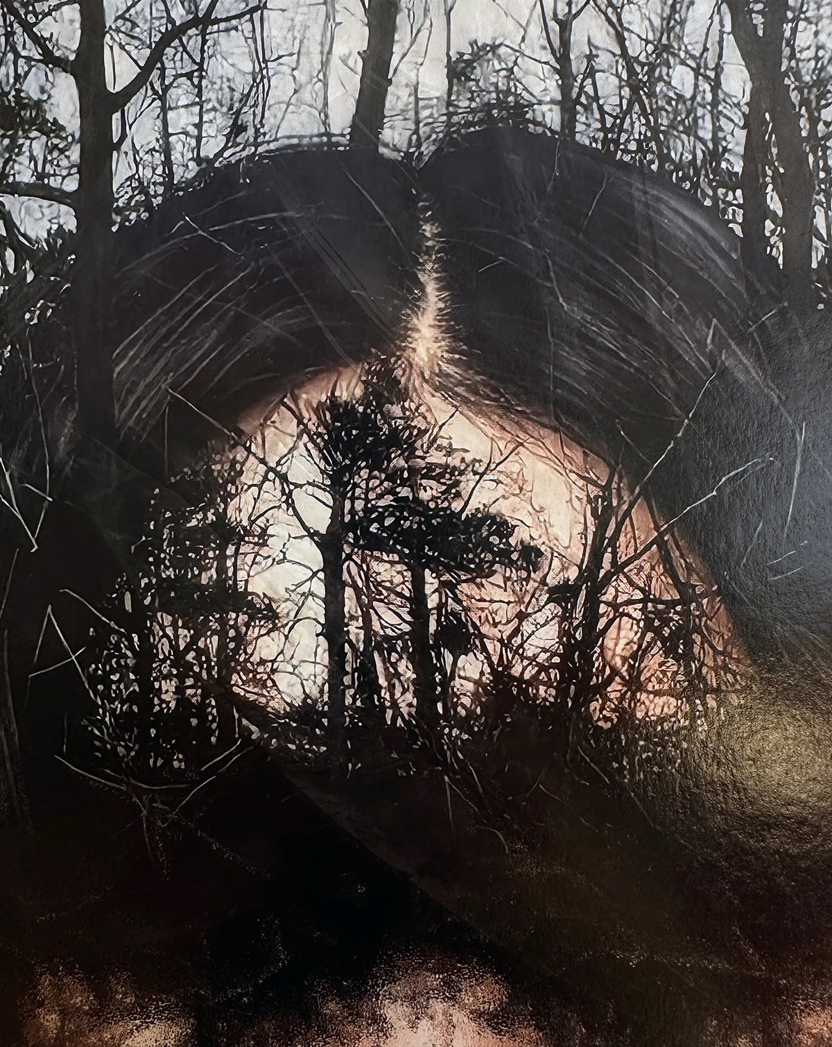 Kunstwerk: Lost in a forest – Fine Art Print auf Alu-Dibond, 50x70 cm, limitierte Edition, Nr. 3/5